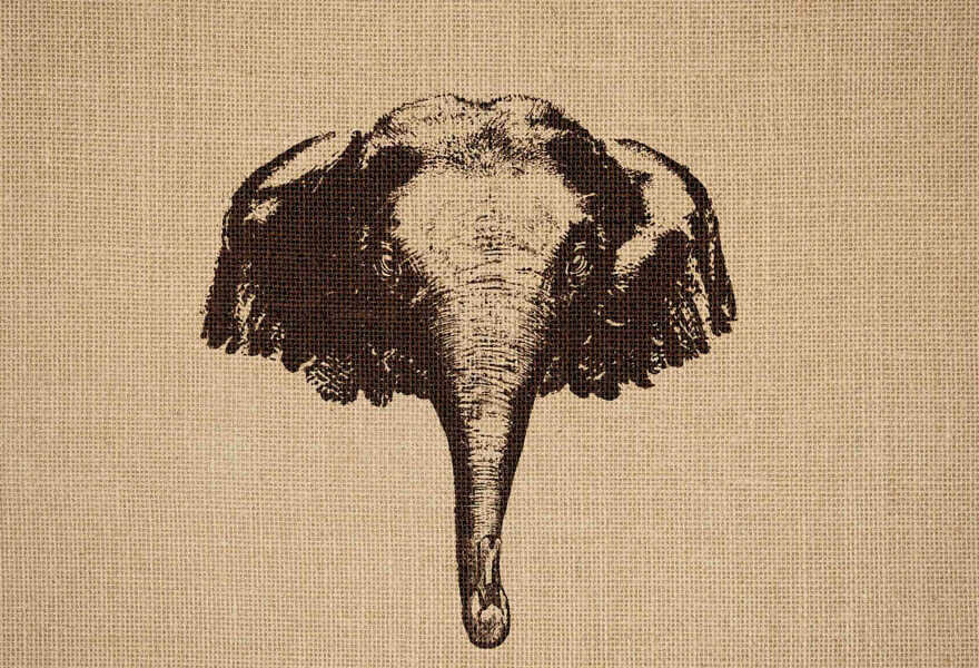 Ilustrações inspiradoras e criativas de animais (2)