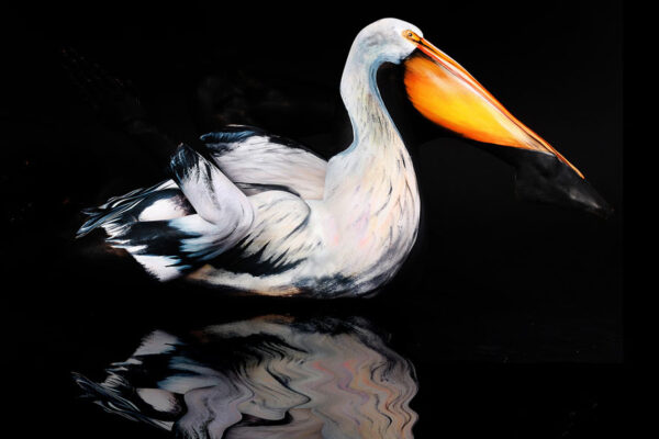 Pinturas criativas em corpos feitas por Gesine Marwedel (13)