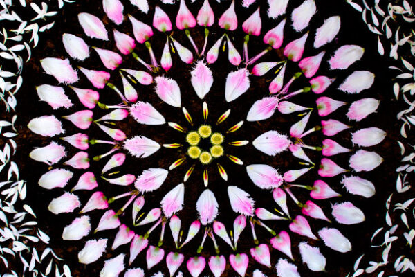 Mandalas feitas com flores e plantas por Kathy Klein (11)