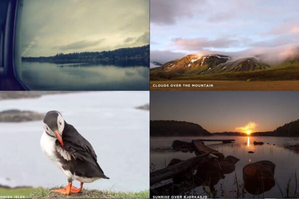 Mazwai um site para download de vídeos gratuitos (2)