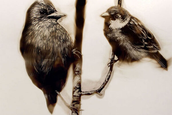 Desenhos criativos feitos por Steven (1)