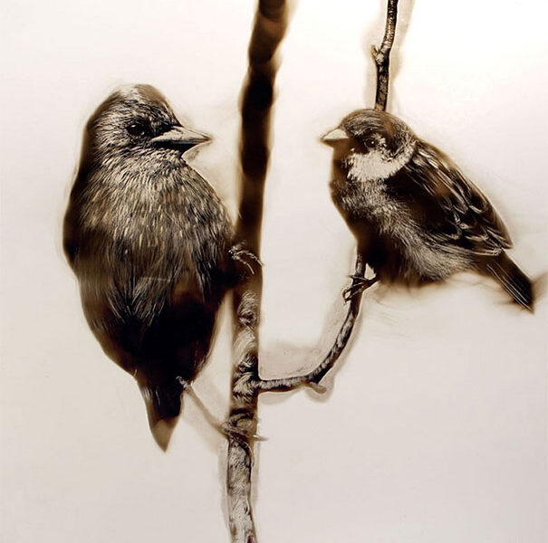 Desenhos criativos feitos por Steven (1)