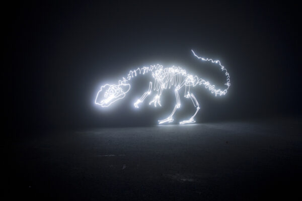 lighting painting criativos de dinossauro (1)