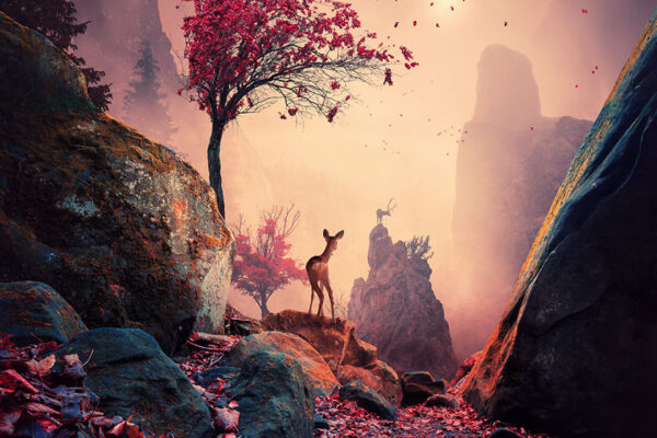 Fotos criativas e inspiradoras (13)