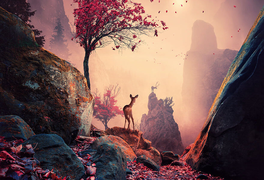 Fotos criativas e inspiradoras (13)