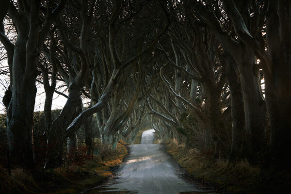 Fotografias incríveis de estradas pela planeta (3)