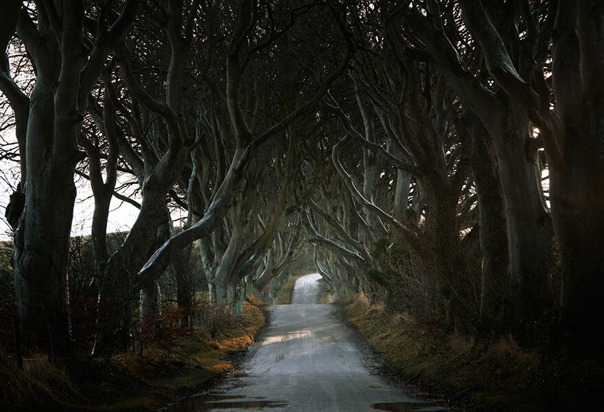 Fotografias incríveis de estradas pela planeta (3)