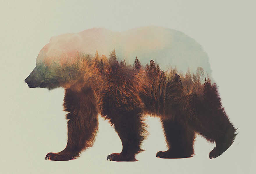 Fotografias inspiradas em animais e paisagens (2)