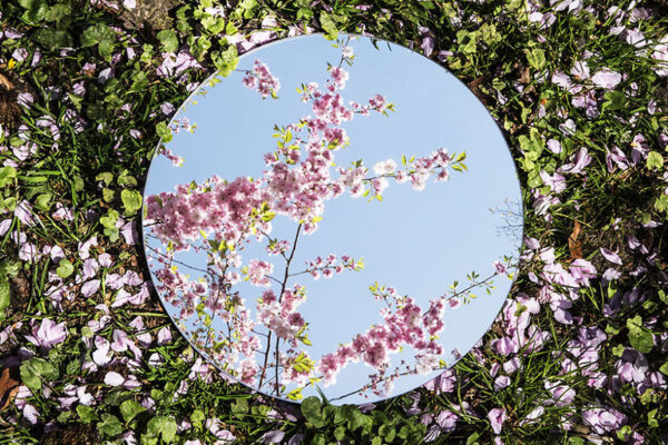 Fotografias com espelhos (5)