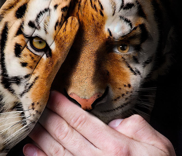 Série fotográfica contra zoológicos (4)