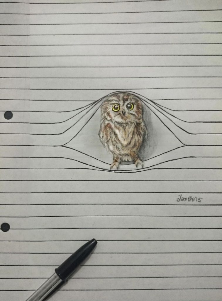 Animais saem da folha de caderno em desenhos 3D (2)