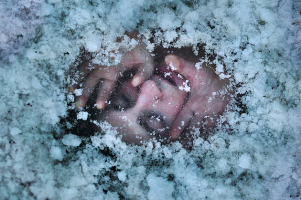 Fotografias criativas e desafiadoras (8)