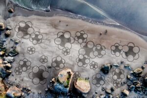 Desenhos imensos feitos na areia (6)