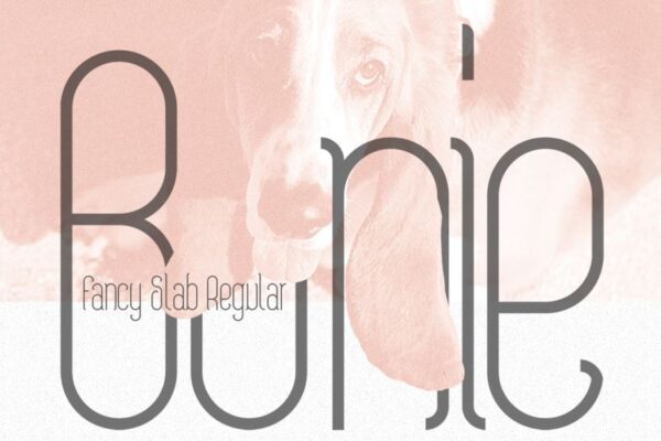 Fontes gratuitas para baixar (3)