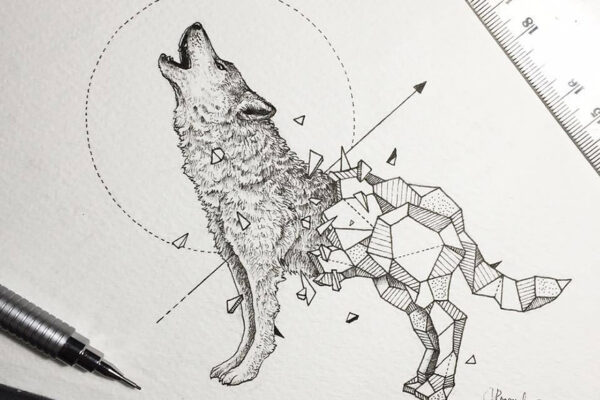 Desenhos geométricos criativos (3)