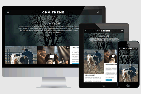 Temas para wordpress gratis (26)