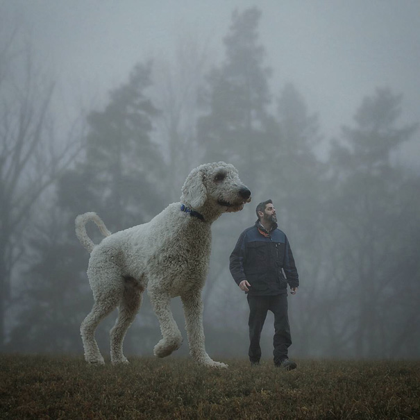 Fotógrafo e seu cachorro em fotos criativas (18)