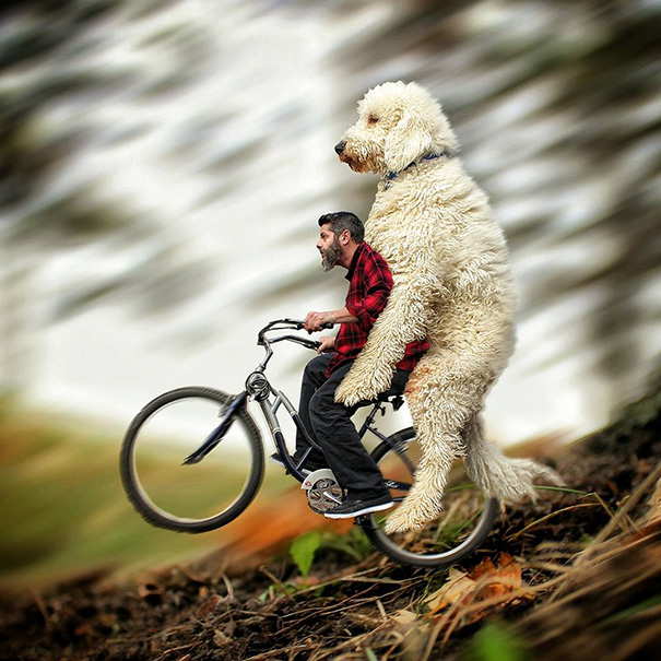 Fotógrafo e seu cachorro em fotos criativas (4)