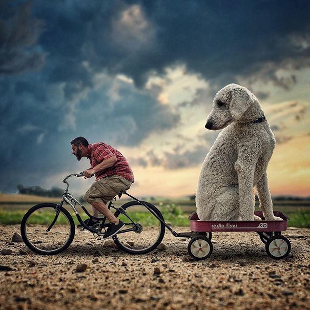 Fotógrafo e seu cachorro em fotos criativas (13)