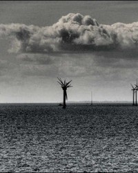 Belos motivos para você tirar fotos simétricas, 30 exemplos para inspiração.