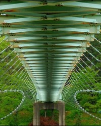 Belos motivos para você tirar fotos simétricas, 30 exemplos para inspiração.