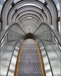 Belos motivos para você tirar fotos simétricas, 30 exemplos para inspiração.